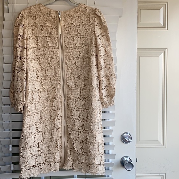 Eliza J Lace Overlay Dress - Picture 3 of 5